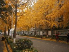 -四川大学(望江校区)