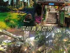 -深圳野生动物园