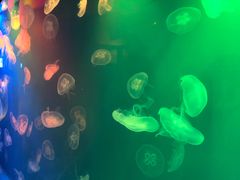 -华夏文旅西安度假区