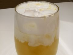凤梨茉莉花-双风车咖啡馆 Twin Windmills(六道口店)