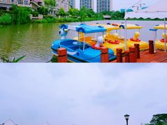 -美的鹭湖森林度假区