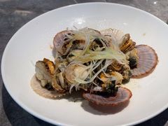 油泼扇贝-1937青岛老味道·青岛菜(大鲍岛栈桥店)
