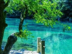 -石台牯牛降景区