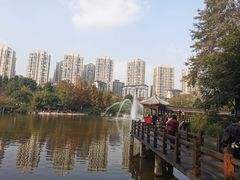 -龙头寺公园