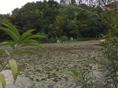 -大雁山风景区