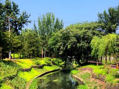 -北坞公园