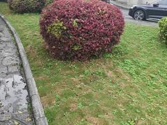 -桂林站