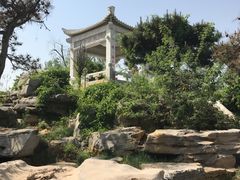 -武清南湖绿博园