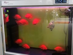 -欧拉艺术培训中心(福星新城店)