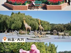 -北京野生动物园