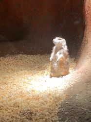 -酷嗒动物文化乐园(cutezoo西溪乐天城店)