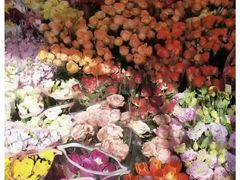 -宝鸡东道花鸟鱼虫市场(吉利花园商场店)