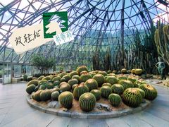 -深圳仙湖植物园