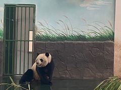 -安吉竹博园