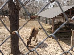 -青藏高原野生动物园