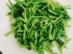 蒜蓉茼蒿-林之六八·6886大连老菜馆