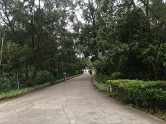 -广东惠东海龟国家级自然保护区