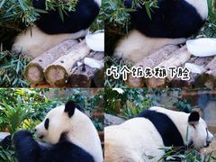 -泉州海丝野生动物世界