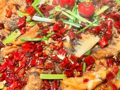 -老板恋上鱼(恒隆广场店)