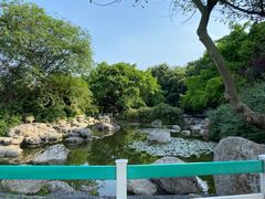 -神仙树公园