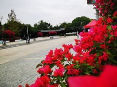 -金银湖国家城市湿地公园