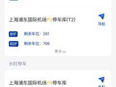 -上海浦东国际机场-T2航站楼