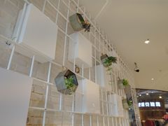 -天虹购物中心(石路店)