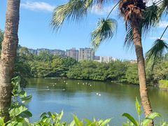 -广州长隆野生动物世界