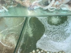 -四海鲜渔家菜(黄金海岸店)