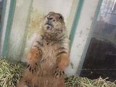 -海合安武汉极地海洋公园