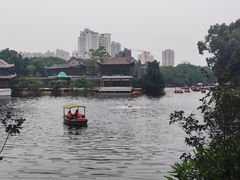 -荔湾湖公园