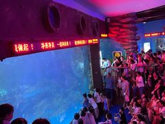 -无锡动物园·太湖欢乐园