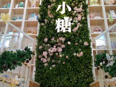 -苏小糖(鼓浪屿三丘田花园店)