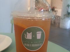 -有猫主题·治愈系猫咖(曾厝垵店)