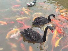 -常州花鸟园酒店(西太湖品牌优选店)