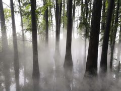 -东湖落雁景区