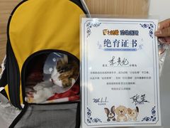 -达爱动物医院·犬猫分区·CT·复杂眼科(远洋山水分院)