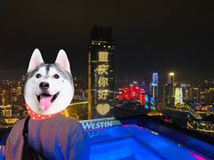 -重庆解放碑威斯汀酒店