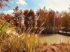 -梁鸿国家湿地公园