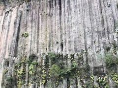 -黄椅山火山森林公园