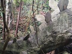 -青青世界