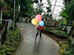 -石家庄市植物园