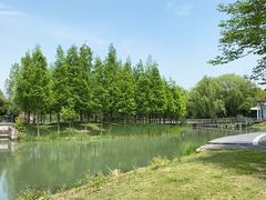 -昆山城市生态森林公园