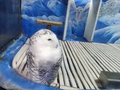 -成都浩海立方海洋公园