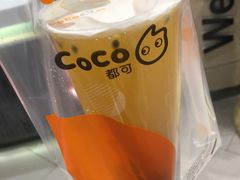 鲜百香双响炮-CoCo都可(方庄店)