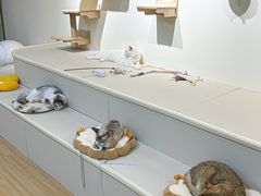 -万达广场(济南高新店)