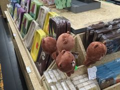 -line friends(明洞旗舰店)