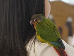 -北京山里寒舍度假酒店