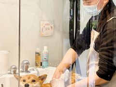 -佐罗家宠物馆·猫文化馆(紫霞路店)