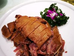 -龙泉小镇(科圣路店)